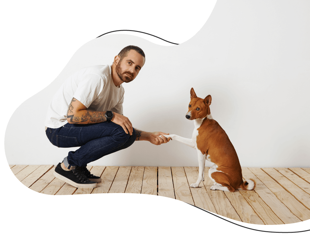 https://urbanhubpet.ae/wp-content/uploads/2019/08/hero_image_08.png